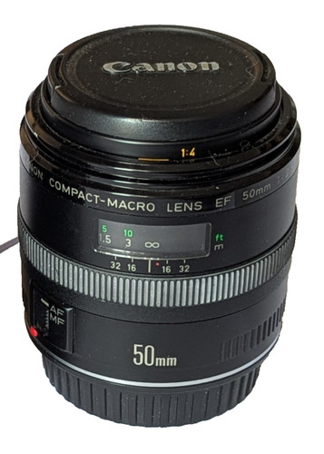 Canon 50mm 5 - canon, f/2.5