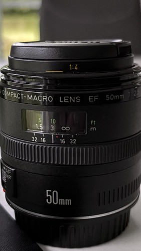 Canon 50mm 5 compact - canon,